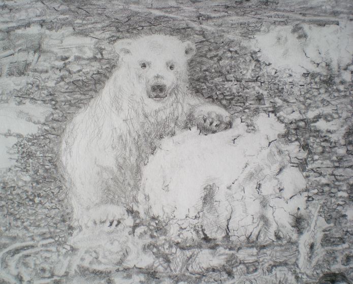 Polar bear at Blossom Cape (extract), pencil